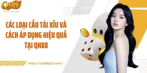 Các Loại Cầu Tài Xỉu Và Cách Áp Dụng Hiệu Quả Tại QH88