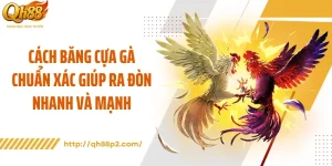 Cách Băng Cựa Gà Chuẩn Xác Giúp Ra Đòn Nhanh Và Mạnh