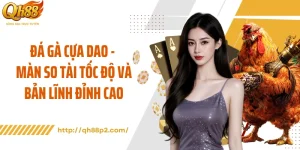 Đá Gà Cựa Dao - Màn So Tài Tốc Độ Và Bản Lĩnh Đỉnh Cao