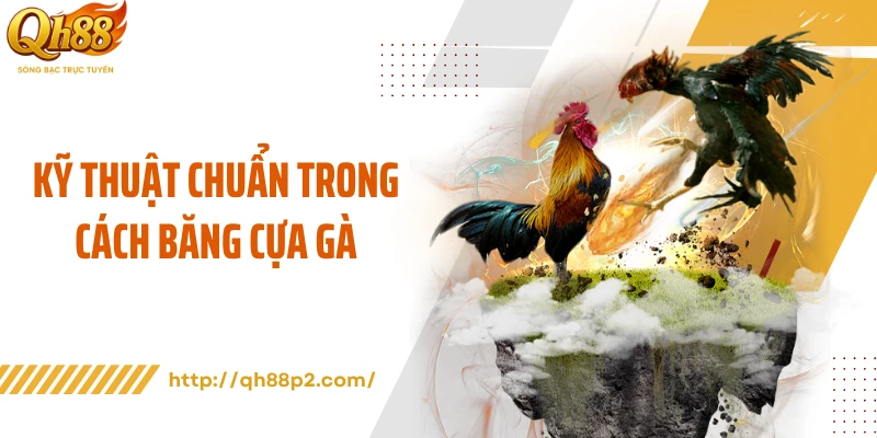Kỹ thuật chuẩn trong cách băng cựa gà